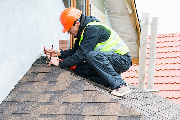 Best Roof Gutter Cleaning  in Stevens Point, WI