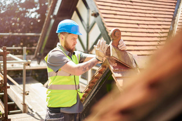 Best Roof Gutter Cleaning  in Stevens Point, WI